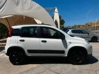 Usata Fiat Panda 4x4 S 95 CV (69 kW) 2018 Bianco Utilitaria