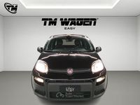 Usata Fiat Panda S 70 CV (51 kW) 2023 Nero Utilitaria