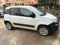 Usata Fiat Panda 4x4 75 CV (55 kW) 2014 Bianco Utilitaria