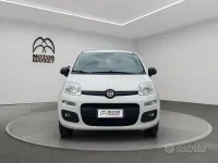 Usata Fiat Panda 4x4 Pop 86 CV (63 kW) 2020 Bianco Utilitaria