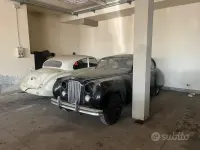 Usata Jaguar MK VII 1950 Bianco Berlina
