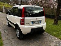 Usata Fiat Panda 4x4 2010 Utilitaria