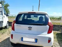 Usata Kia Picanto 85 CV (62 kW) 2012 Bianco Utilitaria