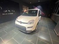 usata Fiat Panda 1.0 FireFly S&S Hybrid