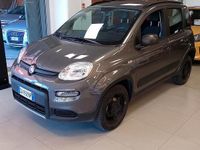 Usata Fiat Panda 4x4 S 84 CV (61 kW) 2020 Grigio Utilitaria
