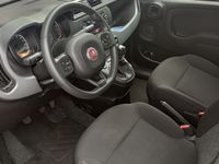 usata Fiat Panda Cross Hybrid 2020