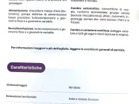 Usata Fiat Punto S 84 CV (61 kW) 2012 Grigio Utilitaria