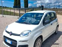 Usata Fiat Panda Easy 75 CV (55 kW) 2015 Bianco Utilitaria
