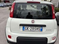 Usata Fiat Panda S 69 CV (50 kW) 2022 Utilitaria