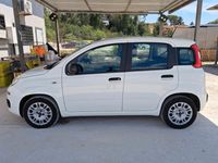 Usata Fiat Panda Easy 69 CV (50 kW) 2020 Bianco Utilitaria