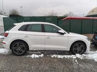 Usata Audi SQ5 Business 313 CV (230 kW) 2023 Bianco SUV