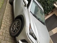 Usata Lexus NX300 249 CV (183 kW) 2020 Grigio SUV
