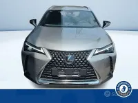 Usata Lexus UX 152 CV (111 kW) 2025 Grigio SUV
