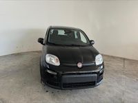 Usata Fiat Panda 70 CV (51 kW) 2024 Nero Utilitaria