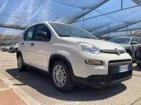 Usata Fiat Panda S 70 CV (51 kW) 2023 Bianco Utilitaria
