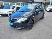 usata Lancia Ypsilon 1.2 69 CV 5 porte S&S Gold