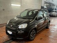Usata Fiat Panda City Life 70 CV (51 kW) 2021 Nero Utilitaria
