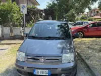 Usata Fiat Panda Dynamic 69 CV (50 kW) 2010 Grigio Utilitaria