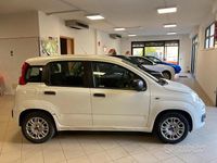 Usata Fiat Panda Easy 69 CV (50 kW) 2018 Bianco Utilitaria