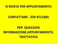 Nuova Peugeot 408 Allure 136 CV (100 kW) 2026 Bianco SUV