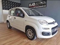 Usata Fiat Panda Lounge 69 CV (50 kW) 2013 Other Utilitaria