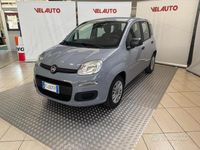 Usata Fiat Panda Easy 69 CV (50 kW) 2018 Grigio Utilitaria