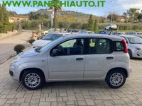 Usata Fiat Panda Easy 69 CV (50 kW) 2020 Grigio Utilitaria
