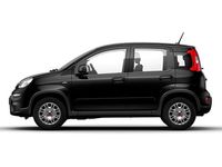 Usata Fiat Panda S 70 CV (51 kW) 2024 Nero Utilitaria