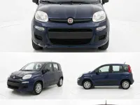 Usata Fiat Panda Easy 69 CV (50 kW) 2019 Blu/azzurro Utilitaria