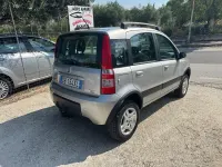 Usata Fiat Panda 4x4 Climbing 69 CV (50 kW) 2006 Grigio Utilitaria