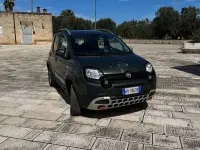 Usata Fiat Panda Cross Cross 95 CV (69 kW) 2016 Utilitaria
