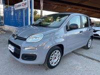 Usata Fiat Panda Easy 69 CV (50 kW) 2018 Grigio Utilitaria