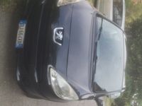 usata Peugeot 1007 