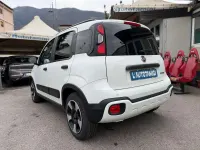 Usata Fiat Panda Cross Cross 69 CV (50 kW) 2024 Bianco Utilitaria