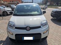 Usata Fiat Panda S 69 CV (50 kW) 2024 Bianco Utilitaria