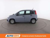 Usata Fiat Panda Easy 71 CV (52 kW) 2020 Grigio Utilitaria