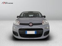 Usata Fiat Panda Pop 69 CV (50 kW) 2018 Grigio Utilitaria
