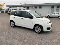 Usata Fiat Panda 75 CV (55 kW) 2012 Utilitaria