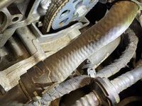 Usata Seat Leon Business 131 CV (96 kW) 2019 Berlina