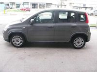 Usata Fiat Panda S 71 CV (52 kW) 2023 Grigio Utilitaria