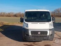 Usata Fiat Ducato 115 CV (84 kW) 2013 Bianco Furgone