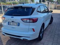 Usata Ford Kuga ST-Line 120 CV (88 kW) 2021 Frozen whi SUV