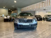 Usata Skoda Kamiq Style 150 CV (110 kW) 2023 Grigio SUV