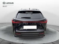 Usata Lexus NX300h 243 CV (178 kW) 2022 Nero SUV