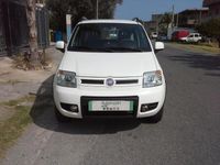 usata Fiat Panda 4x4 1.3 Multijet 75 Cv Anno 2012