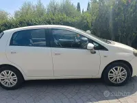 Usata Fiat Punto 75 CV (55 kW) 2015 Bianco Utilitaria