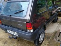 usata Fiat Panda 4x4 Panda 1.2 4x4