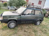 Usata Fiat Panda 4x4 50 CV (36 kW) 1988 Verde Utilitaria