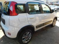 Usata Fiat Panda 4x4 S 75 CV (55 kW) 2013 Bianco Utilitaria