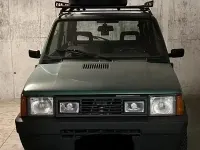 Usata Fiat Panda 4x4 Trekking 54 CV (39 kW) 2002 Verde Utilitaria